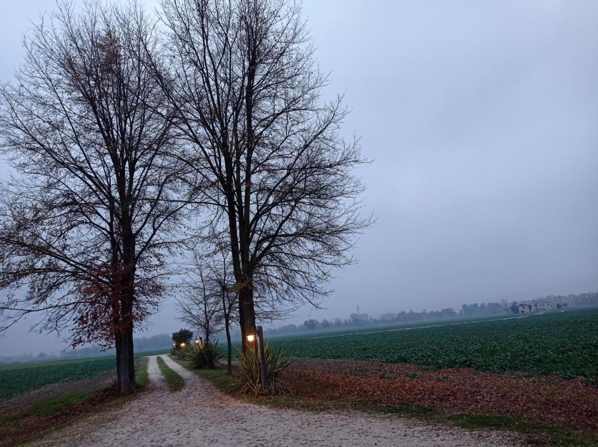 La Casa Di Tara B&B Armonia E Natura Recanati Exterior foto