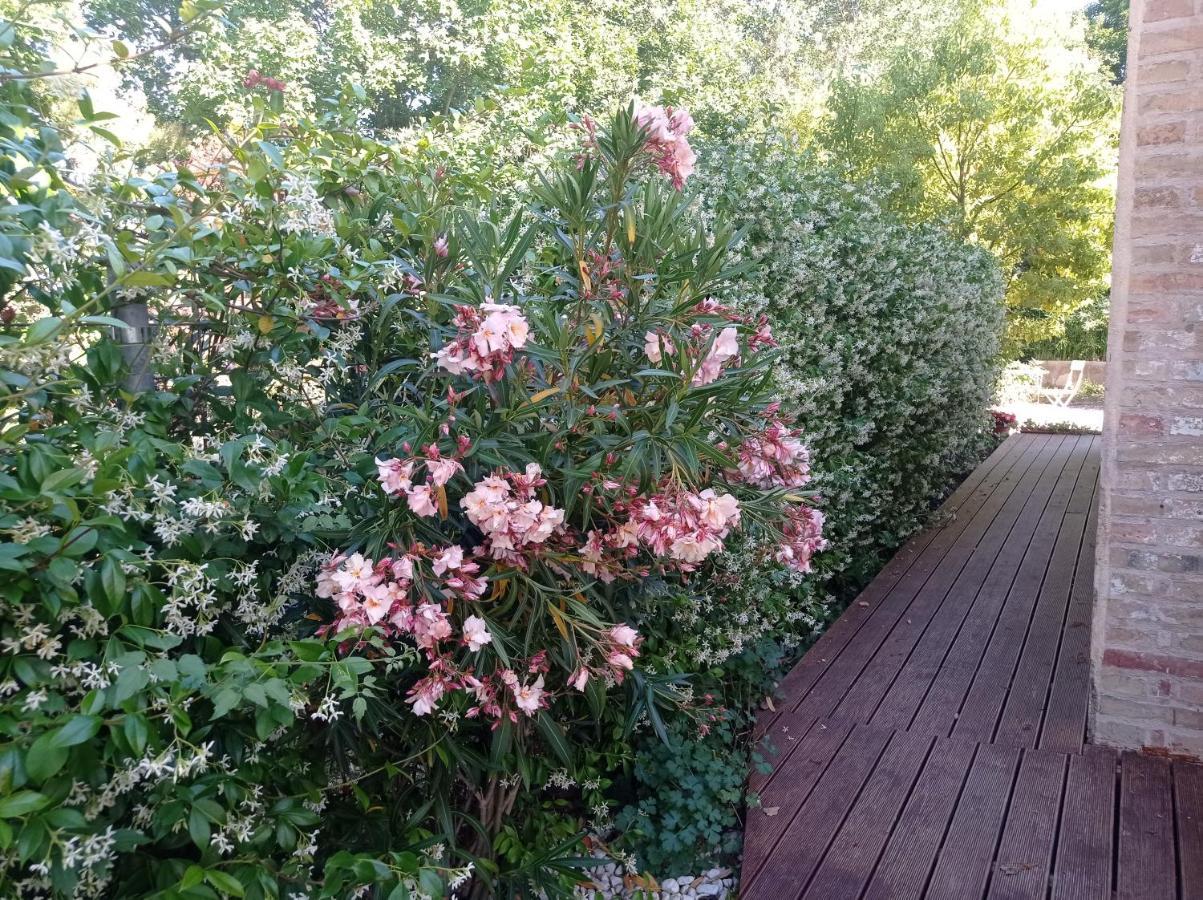 La Casa Di Tara B&B Armonia E Natura Recanati Exterior foto