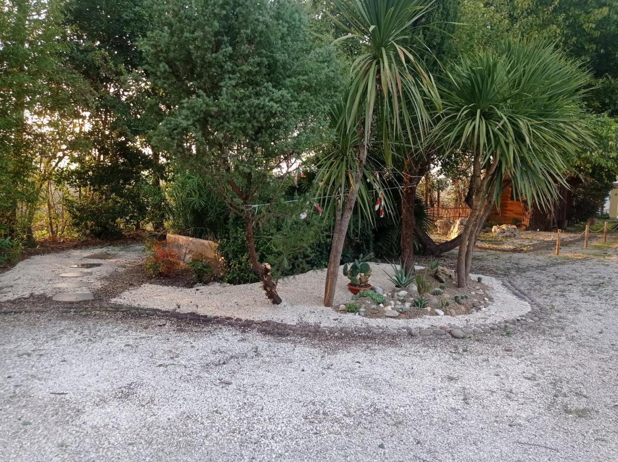 La Casa Di Tara B&B Armonia E Natura Recanati Exterior foto