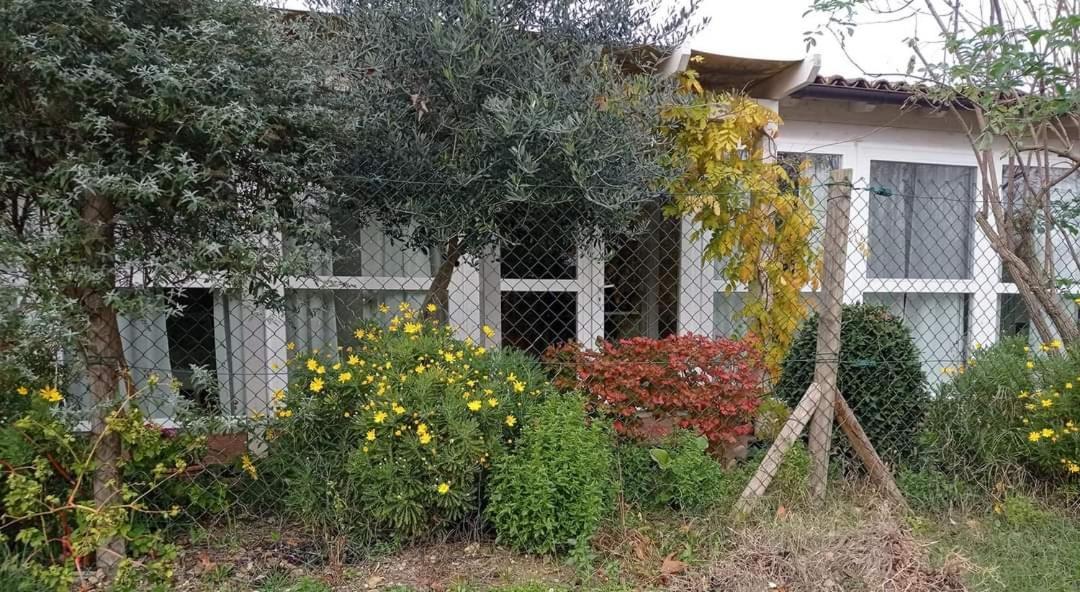 La Casa Di Tara B&B Armonia E Natura Recanati Exterior foto