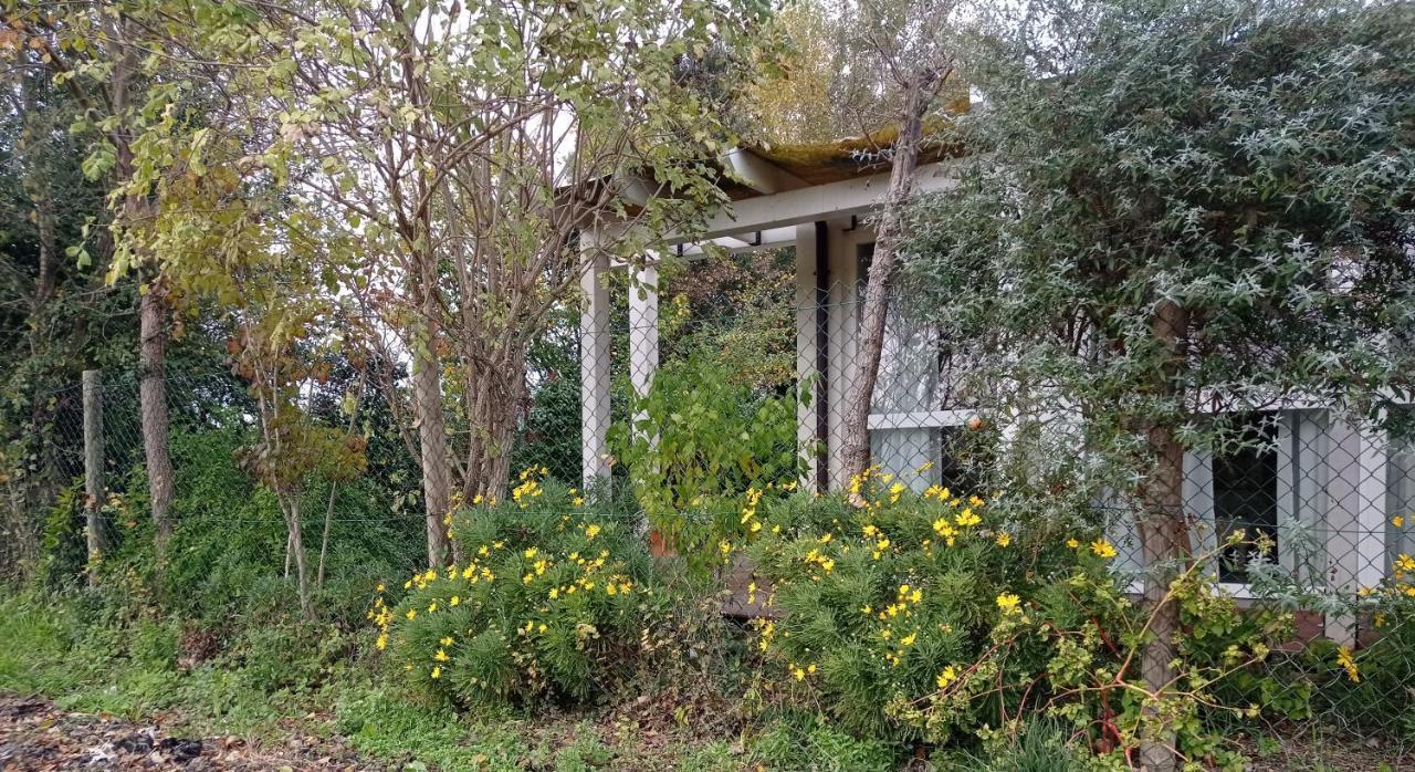 La Casa Di Tara B&B Armonia E Natura Recanati Exterior foto