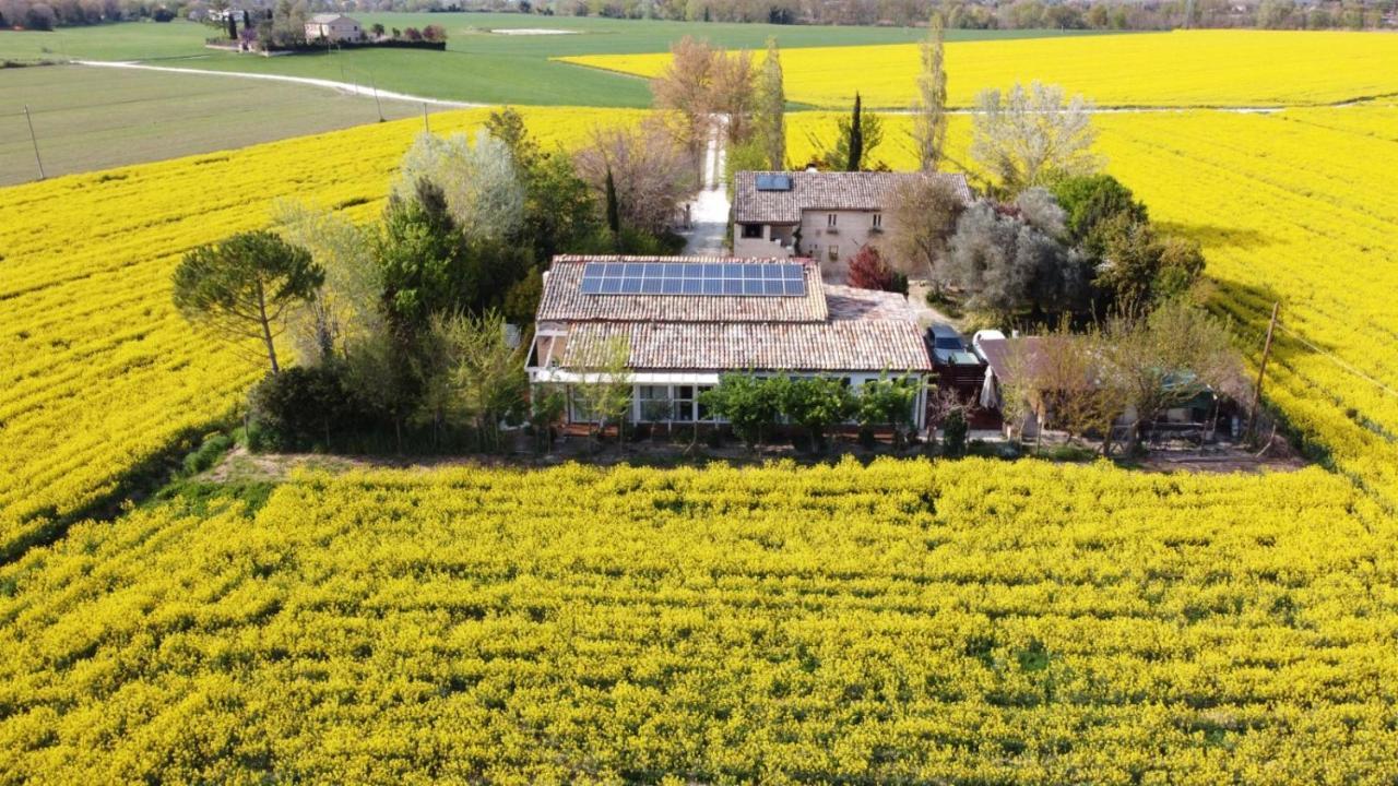 La Casa Di Tara B&B Armonia E Natura Recanati Exterior foto