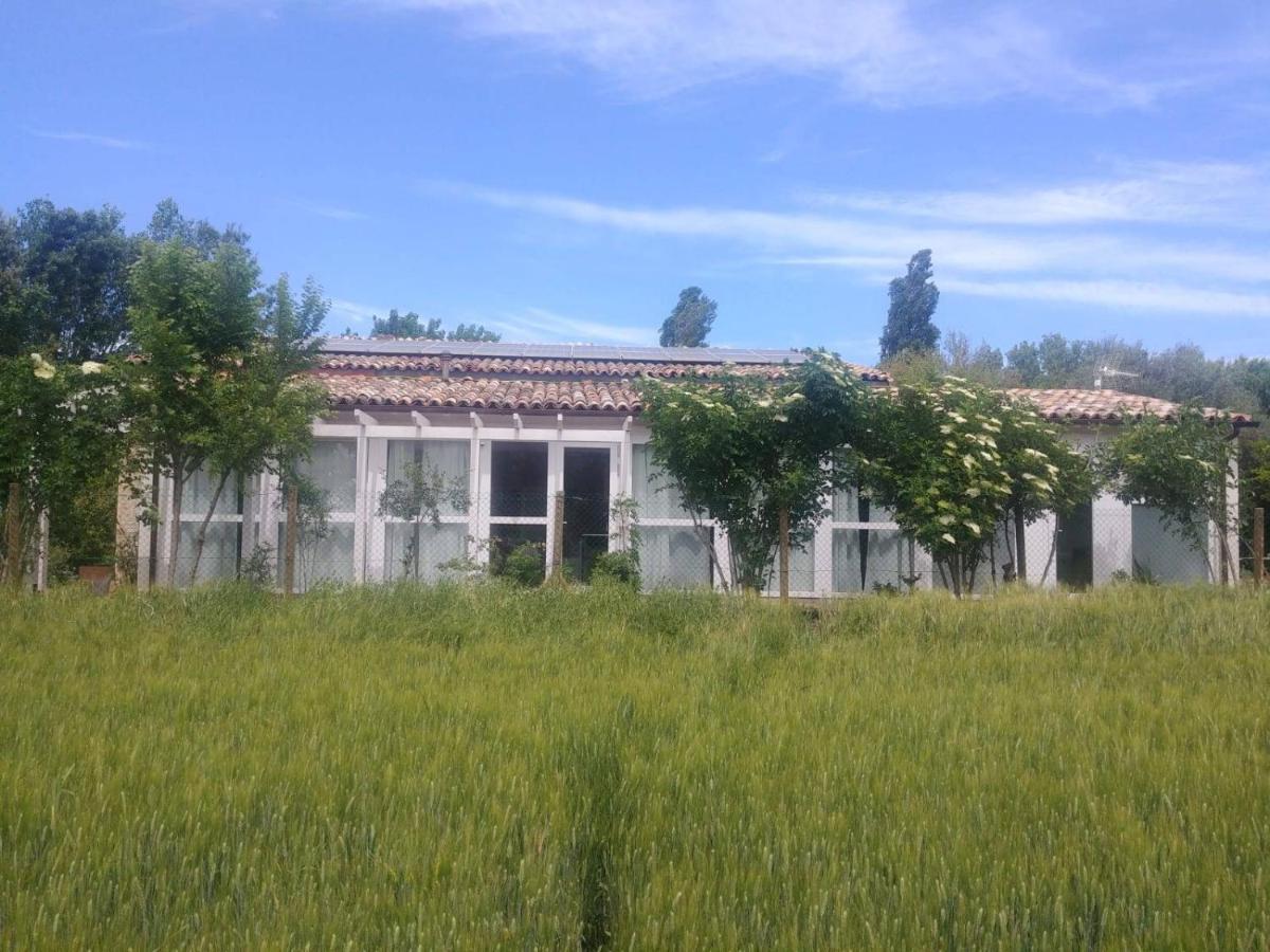 La Casa Di Tara B&B Armonia E Natura Recanati Exterior foto