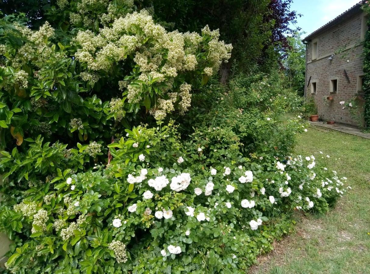 La Casa Di Tara B&B Armonia E Natura Recanati Exterior foto